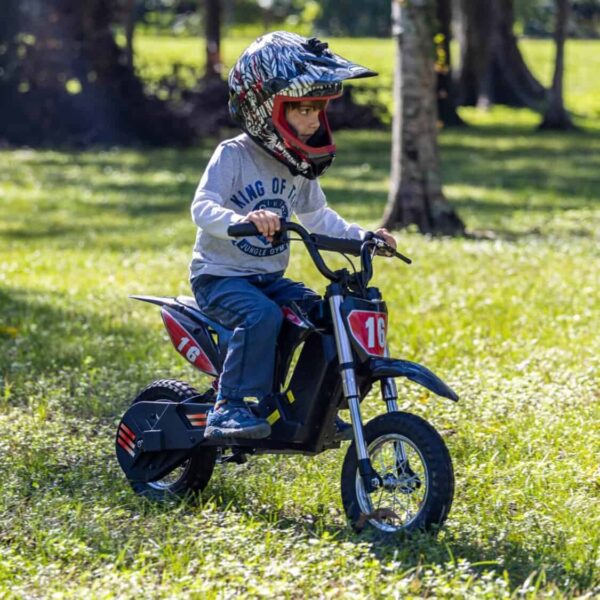 MINI BIKE