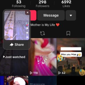 Hassan shabbirs tiktok account