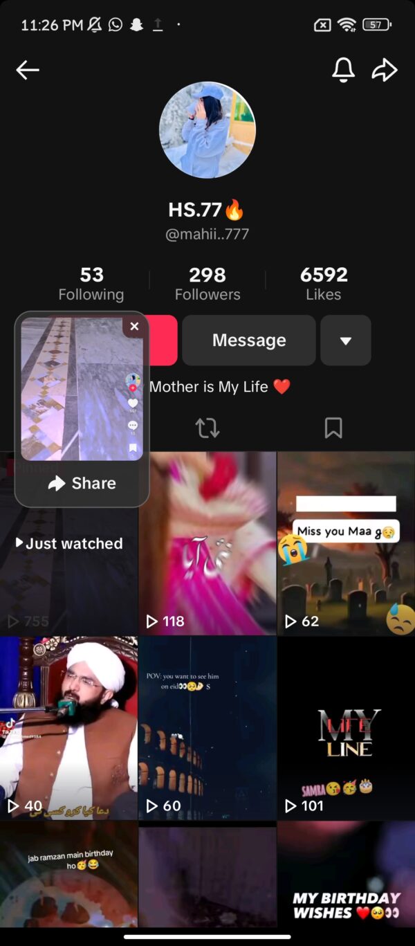 Hassan shabbirs tiktok account