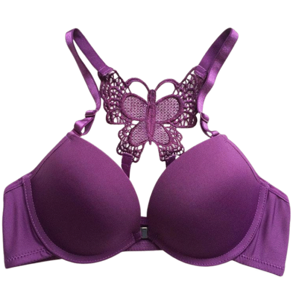 Butterfly Purple paded Bra